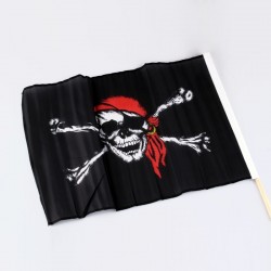 Pirátská vlajka 40x33cm