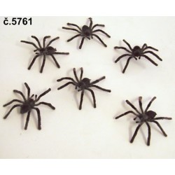 Tarantule - 5,5cm