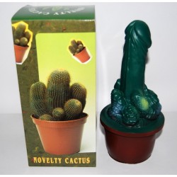 Kaktus sexy